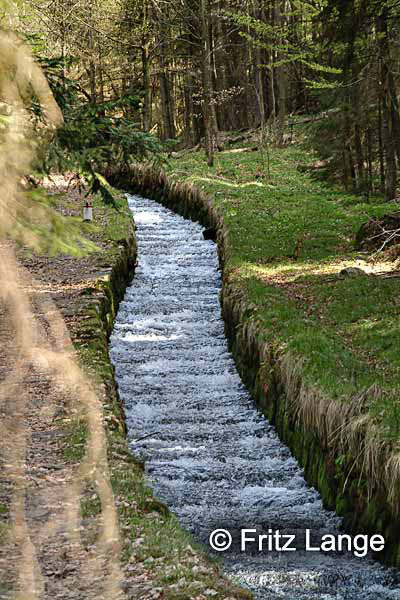 Morau