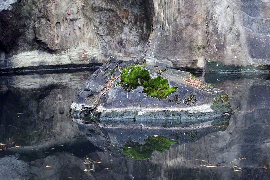 Stein im Wasser