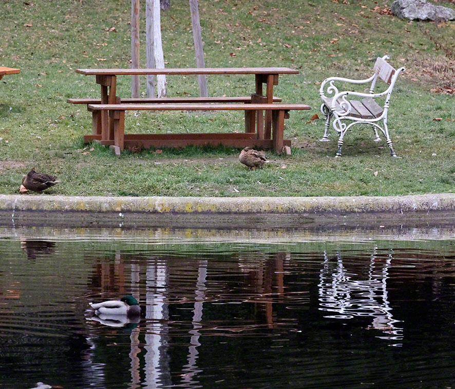 Spiegelungen