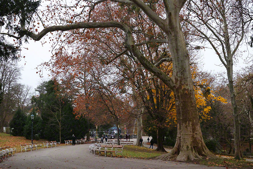 Weg im Türkenschanzpark